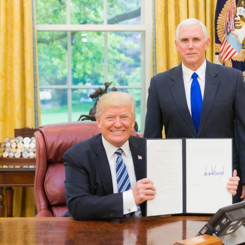 best donald trump wigs