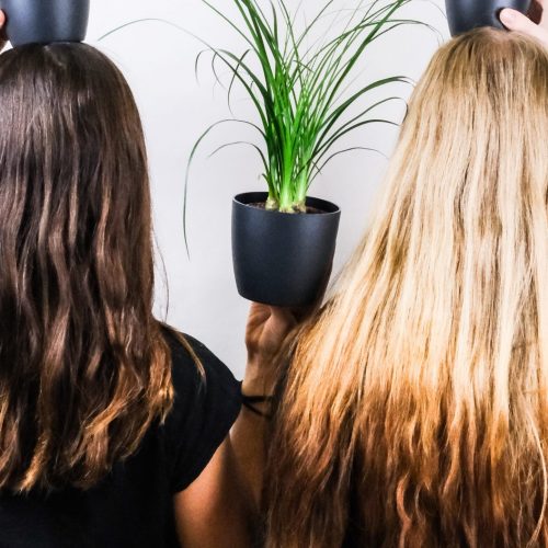 Best Ombré Clip In Hair Extensions