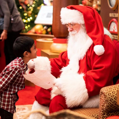 Best Santa Beard and Wig Set